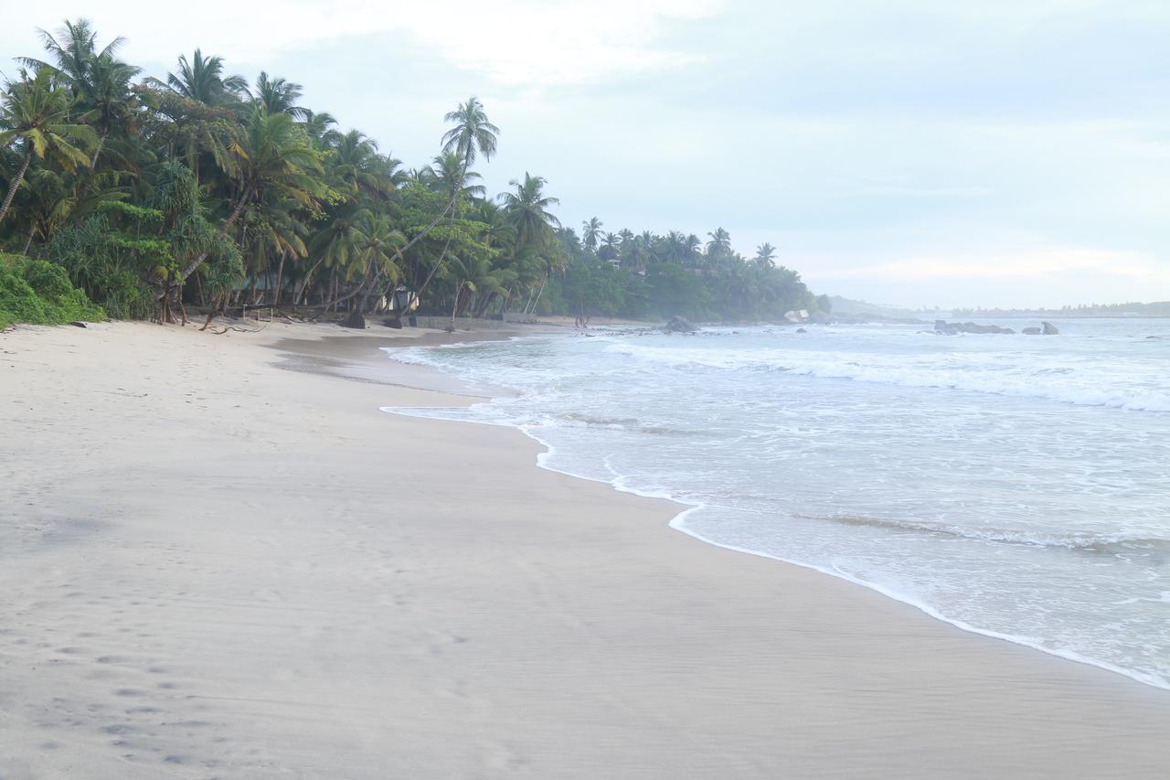 Serene Beach Hotel Dickwella Exterior photo